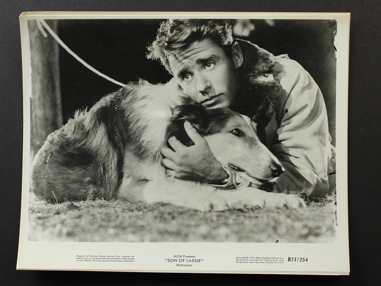 Il figlio di Lassie streaming ita