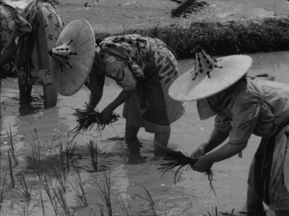 I sette samurai streaming ita