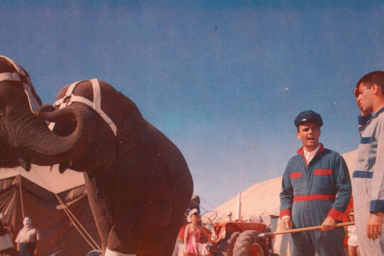 Il circo a tre piste streaming ita