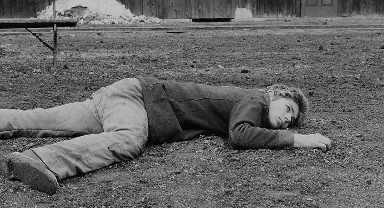 I compagni [B/N] streaming ita