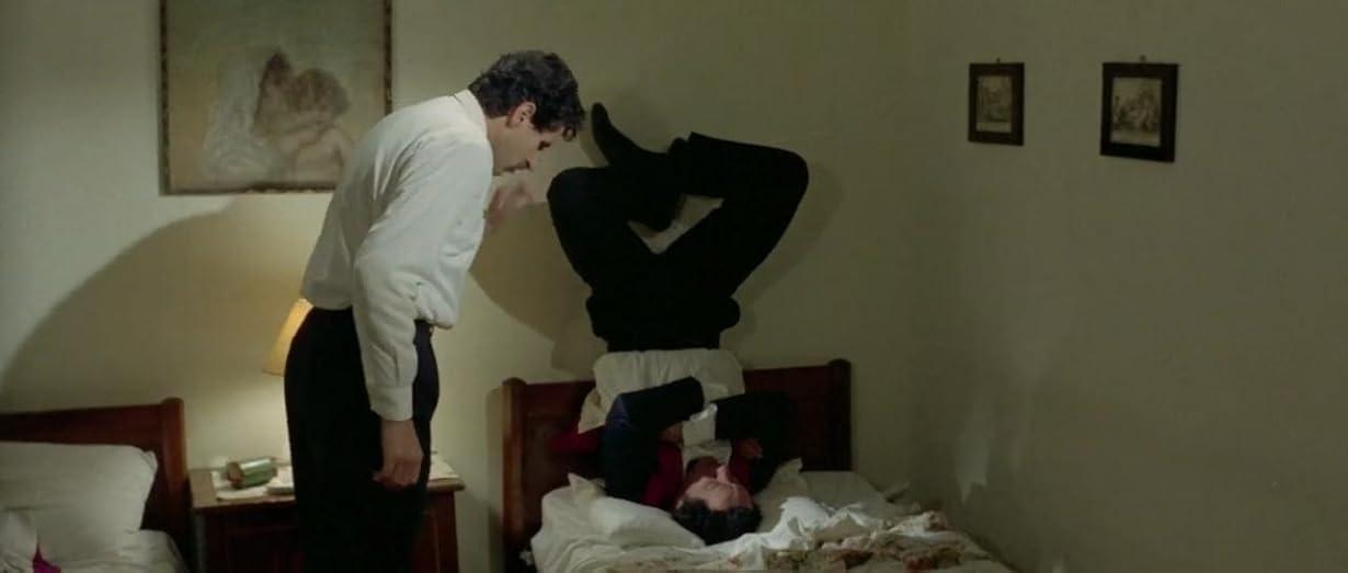 Il lungo, il corto, il gatto streaming ita