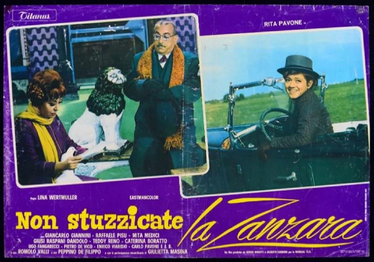 Non stuzzicate la zanzara streaming ita