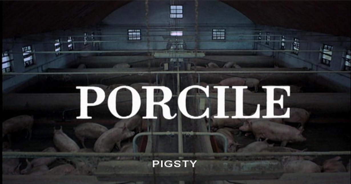 Porcile streaming ita