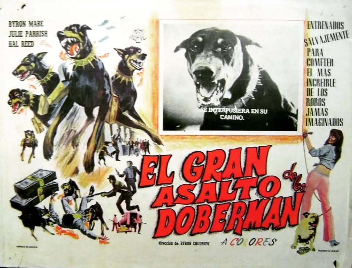 La gang dei doberman streaming ita
