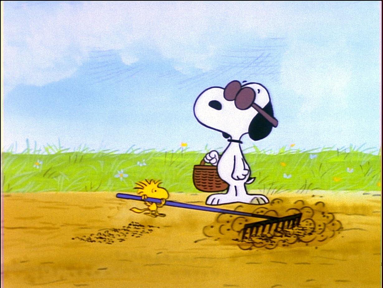 È il giorno dell'albero, Charlie Brown streaming ita