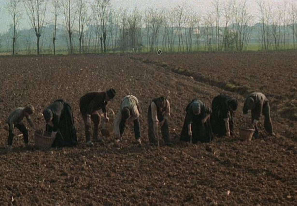 L'albero degli zoccoli streaming ita