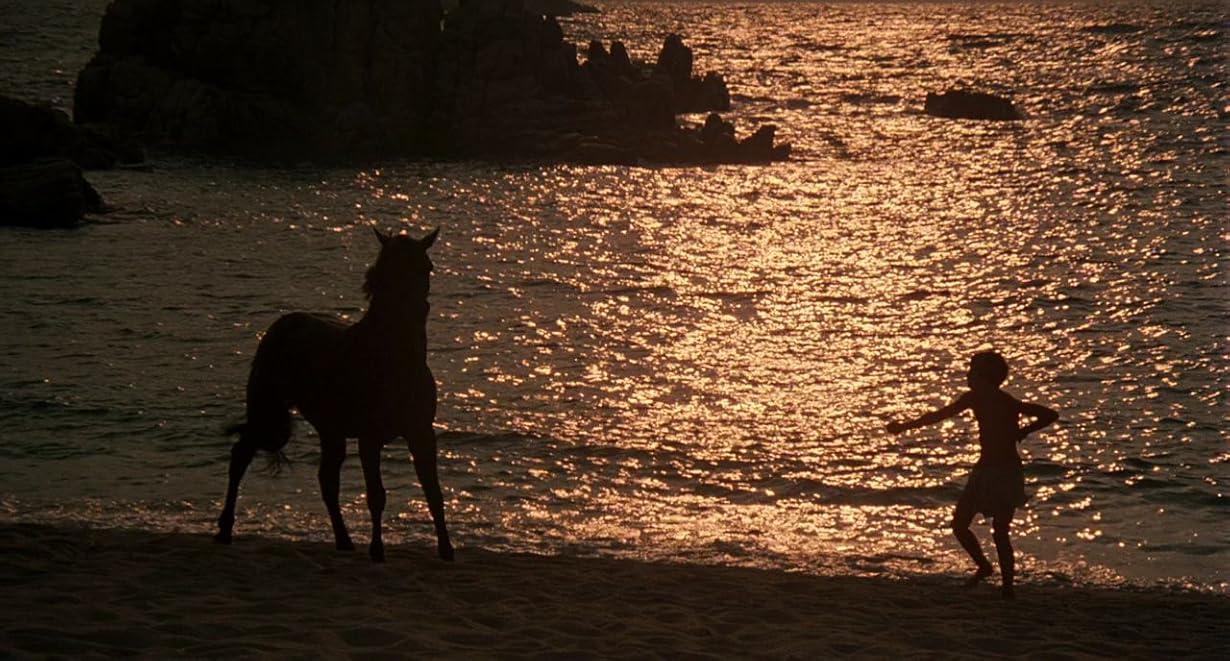 Black Stallion streaming ita