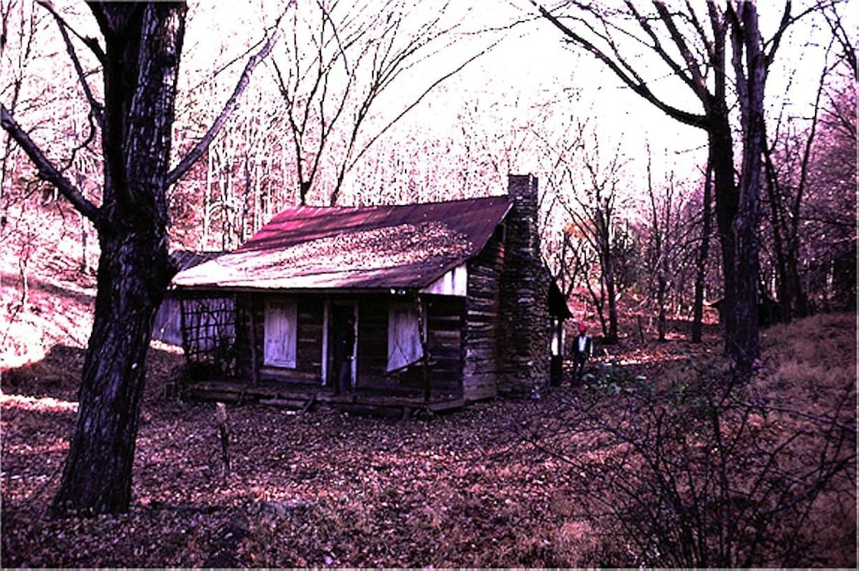 La casa - Evil Dead streaming ita