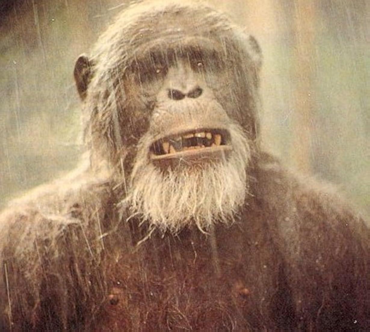 Greystoke - la leggenda di Tarzan il signore delle scimmie streaming ita