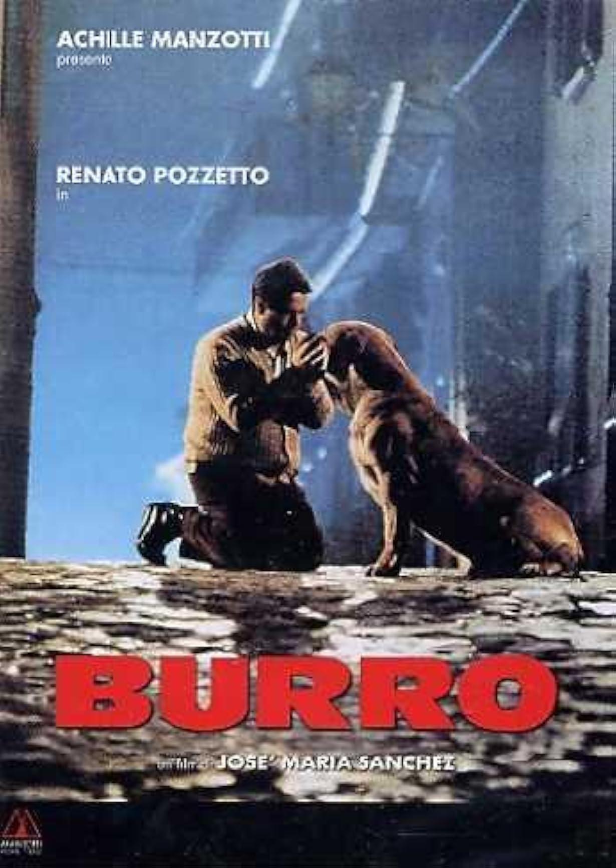 Burro streaming ita