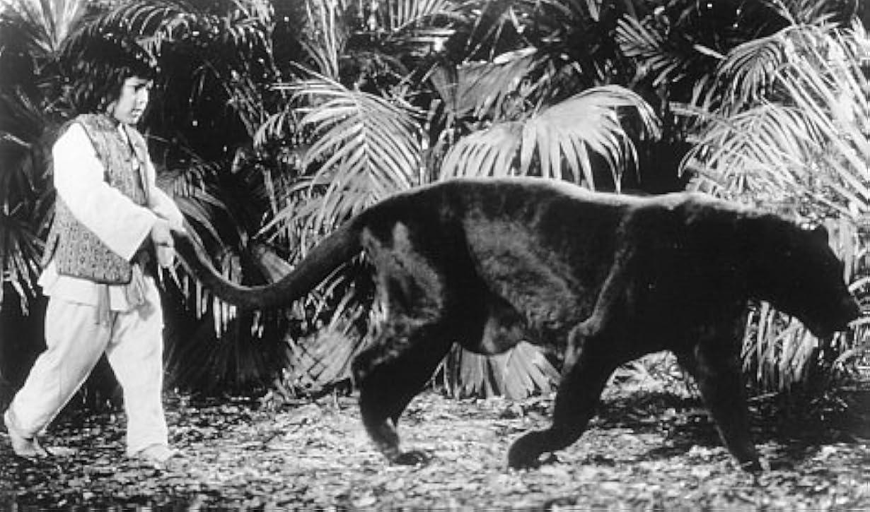 Mowgli - Il libro della giungla (1994) streaming ita