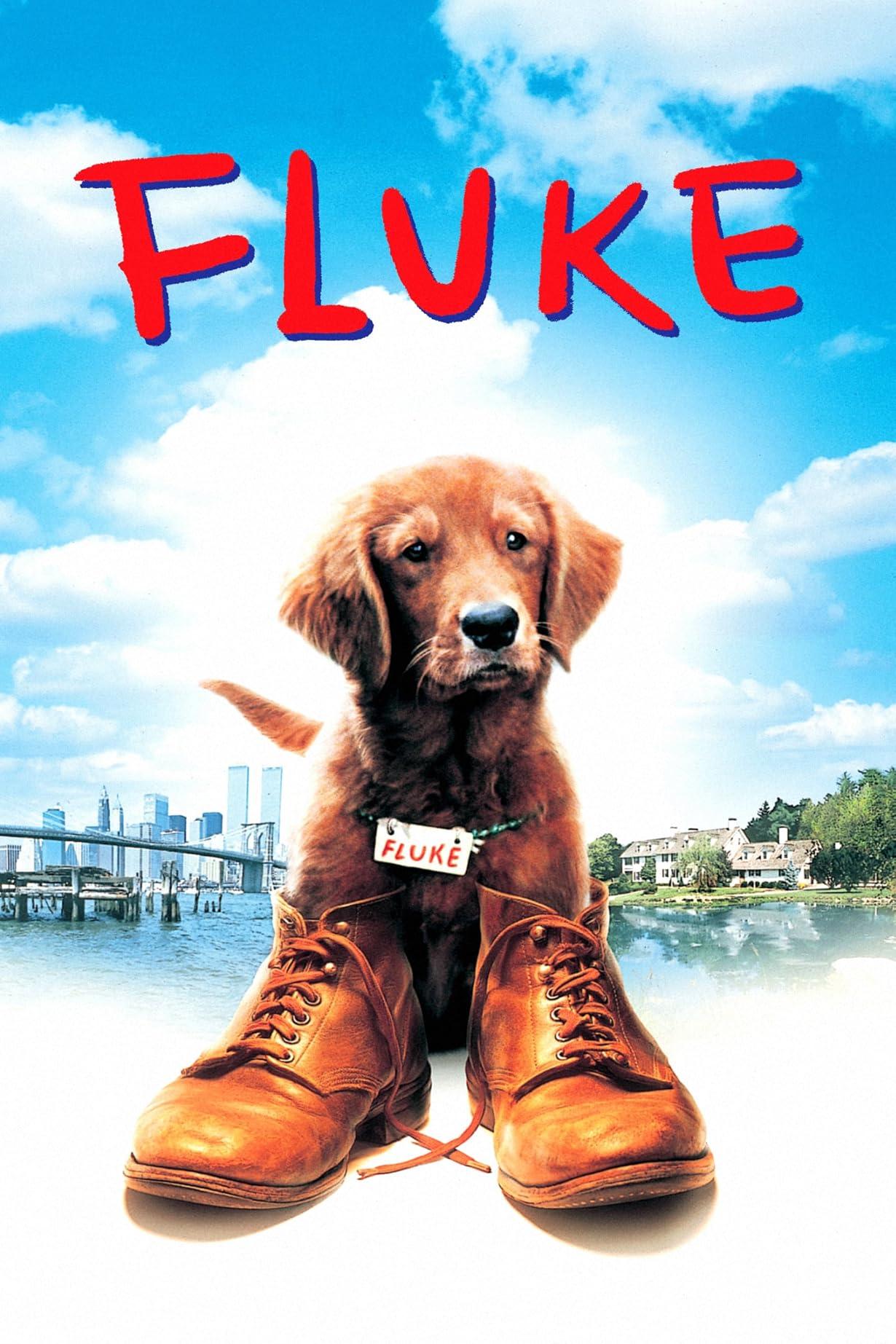 Fluke streaming ita