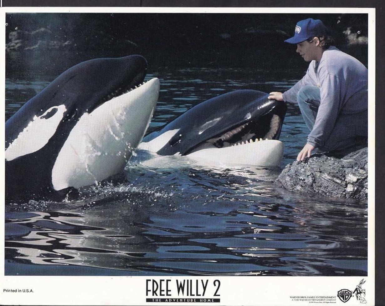 Free Willy 2 streaming ita