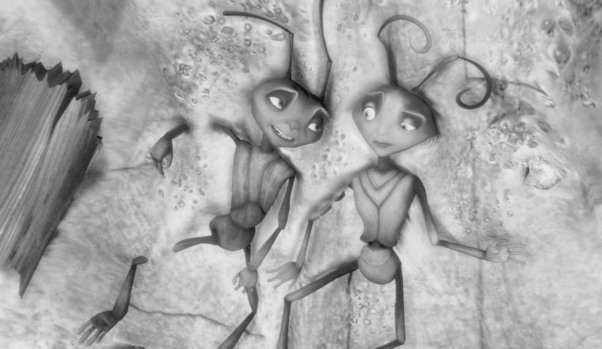 Z la formica streaming ita