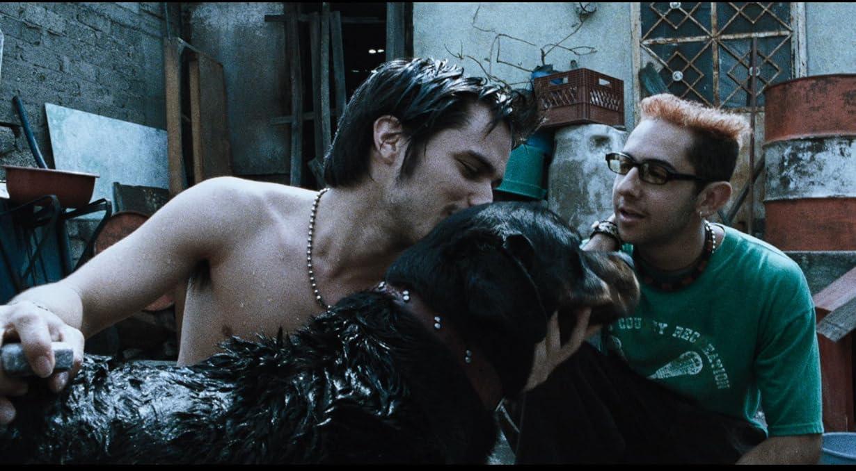 Amores perros streaming ita
