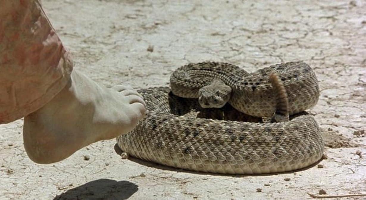 Holes - Buchi nel deserto streaming ita