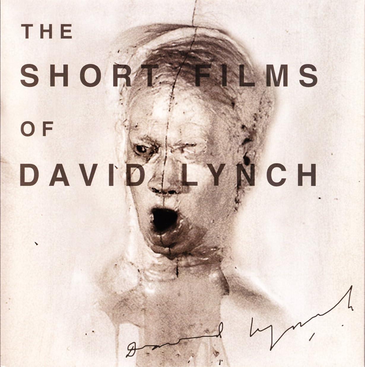 The Short Films of David Lynch streaming ita