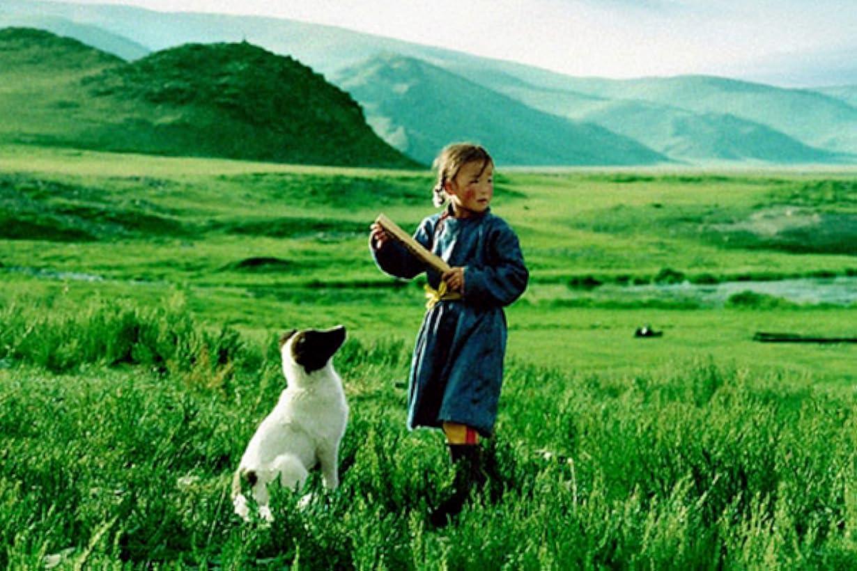 Il cane giallo della Mongolia streaming ita