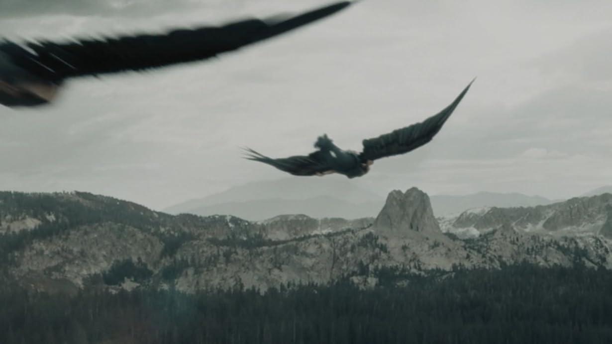 Maximum Ride streaming ita