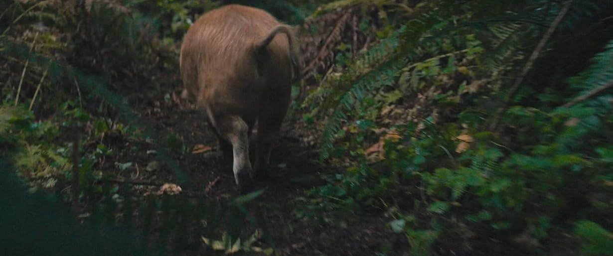 Pig streaming ita