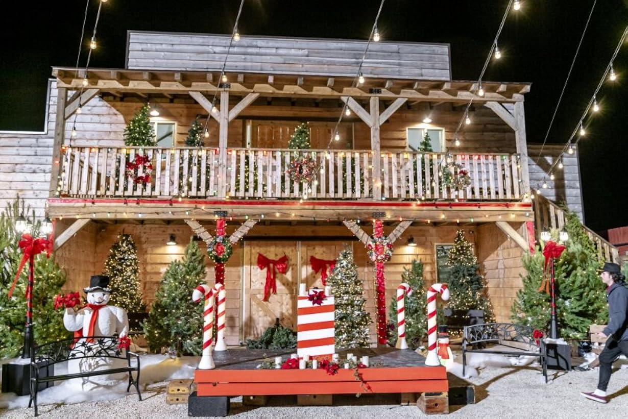 Una canzone per Natale streaming ita