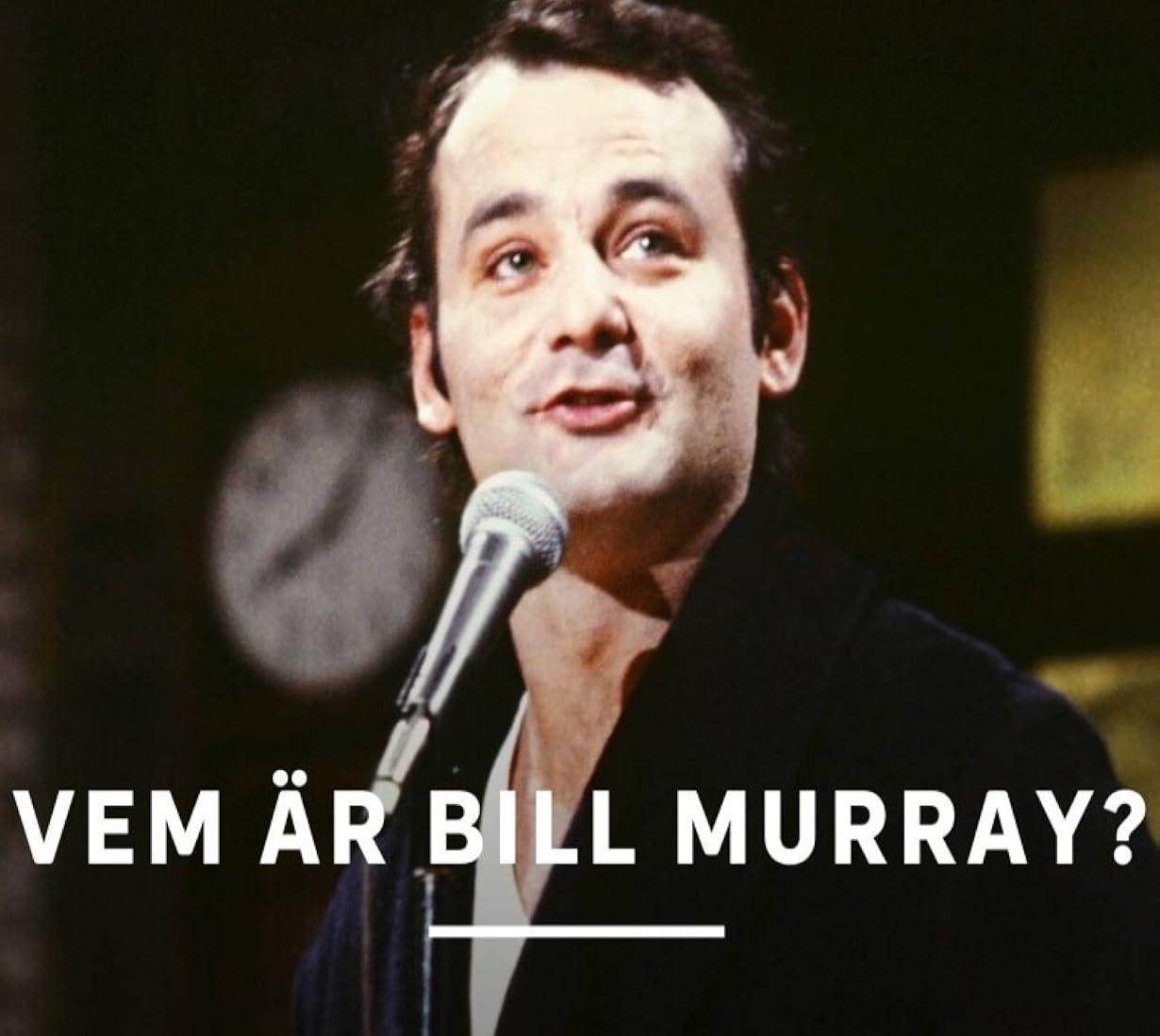 Essere Bill Murray streaming ita