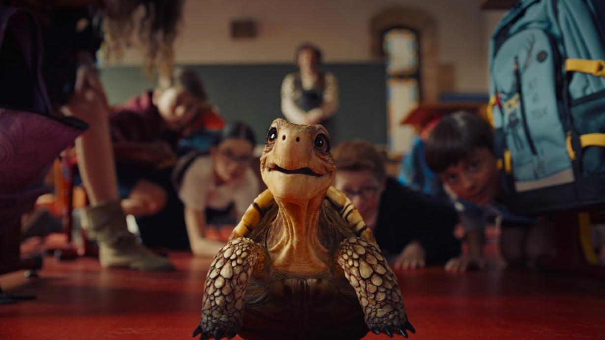 The School of the Magical Animals streaming ita
