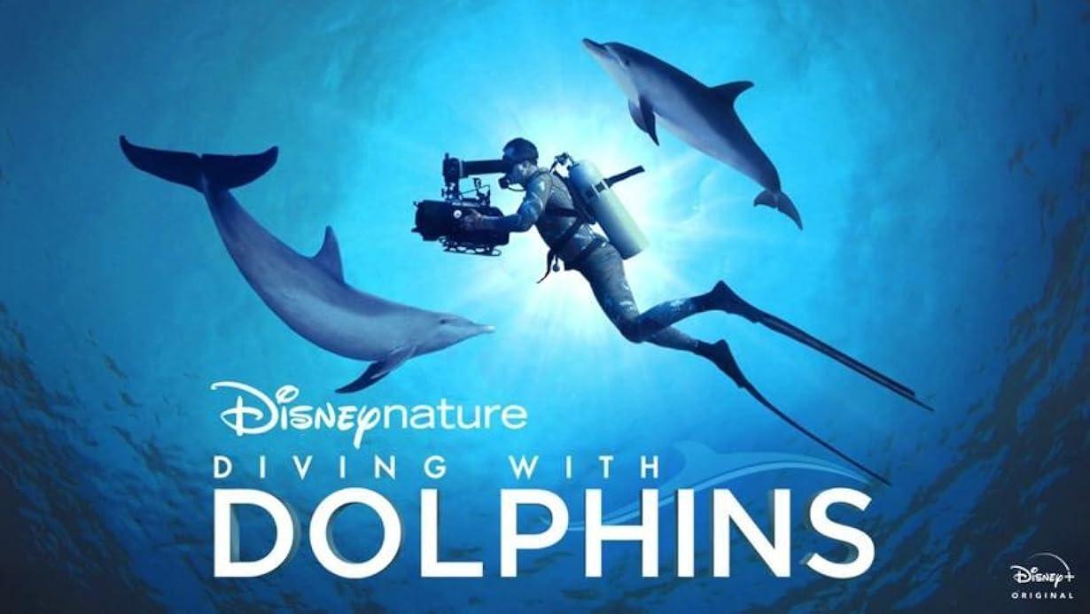 Il mondo nascosto dei delfini streaming ita