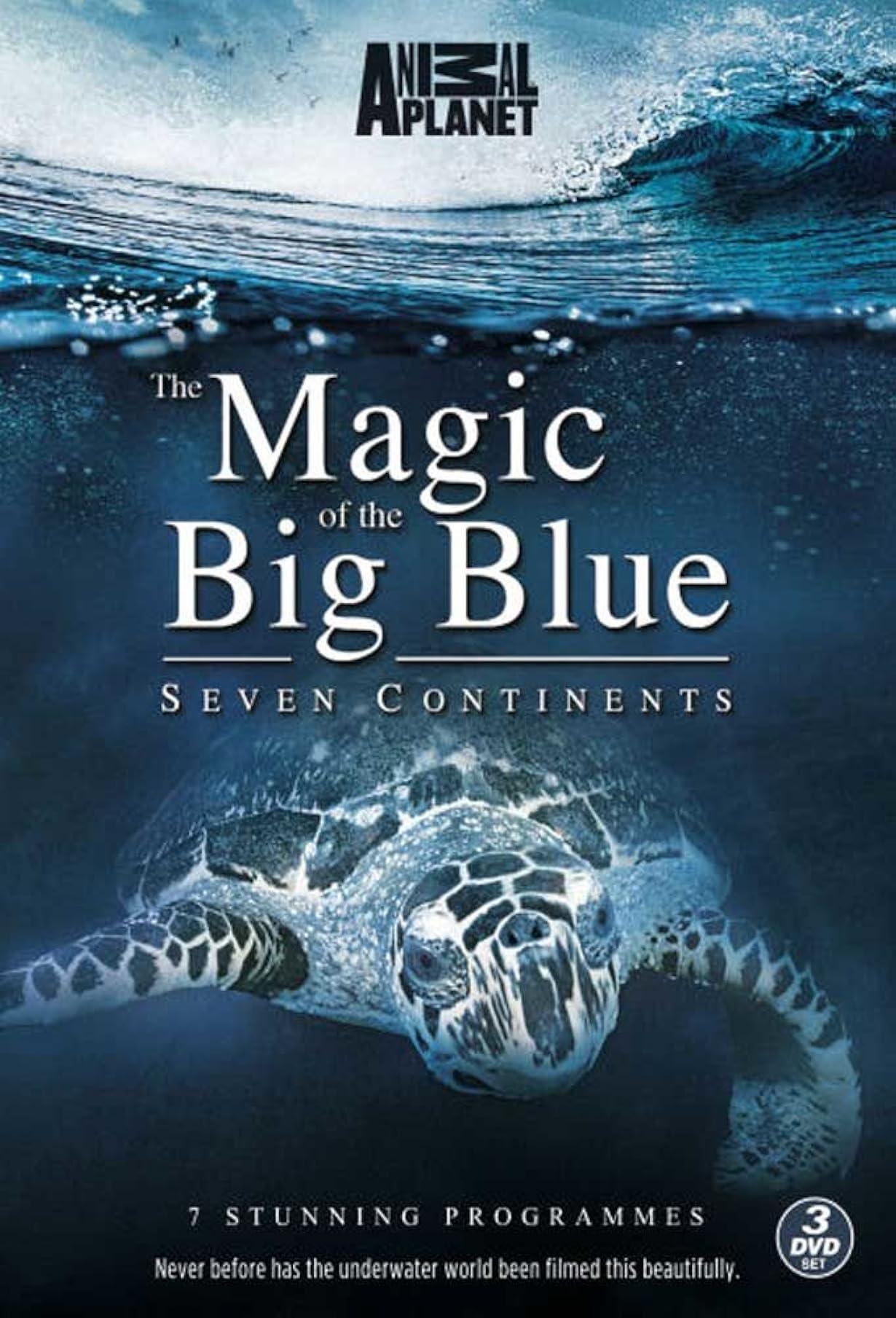 The Magic of The Big Blue streaming ita