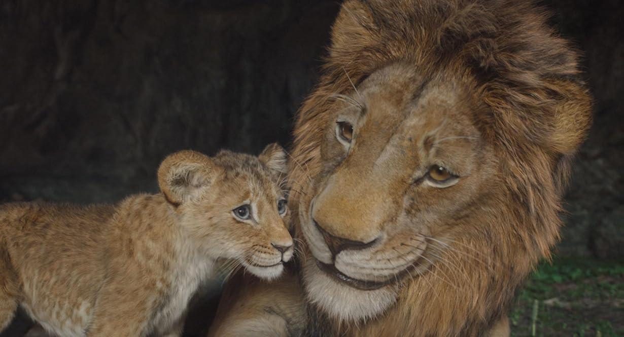 Mufasa: Il re leone streaming ita