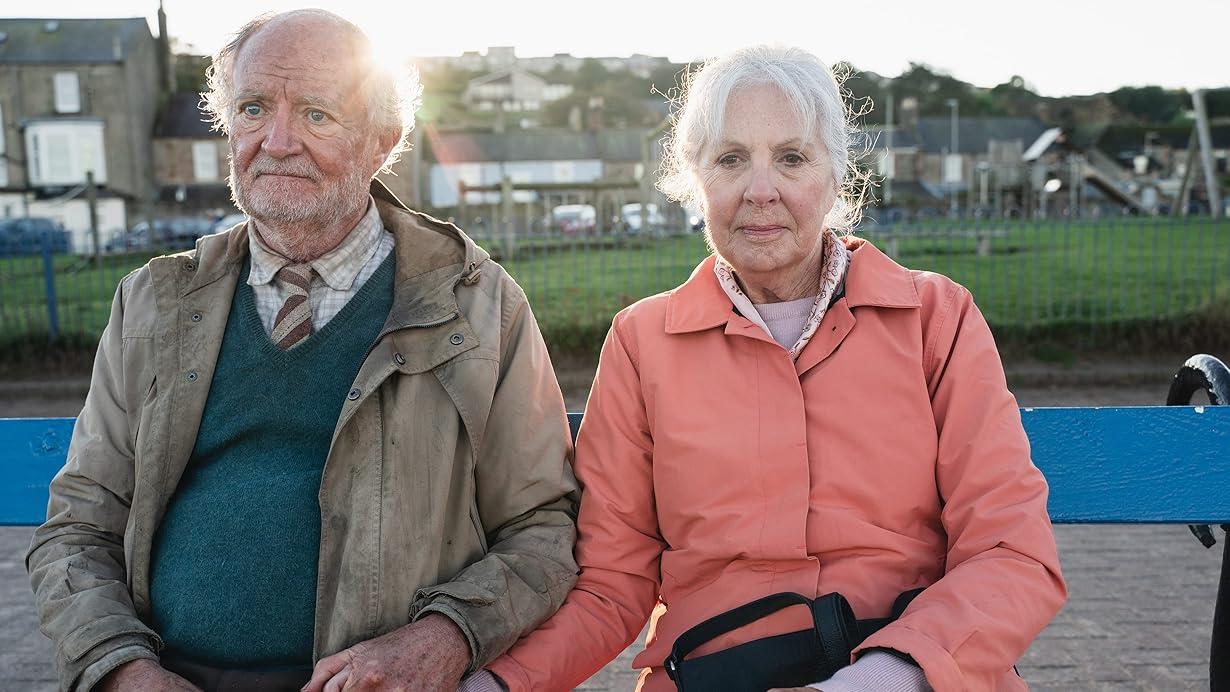 L'imprevedibile viaggio di Harold Fry streaming ita