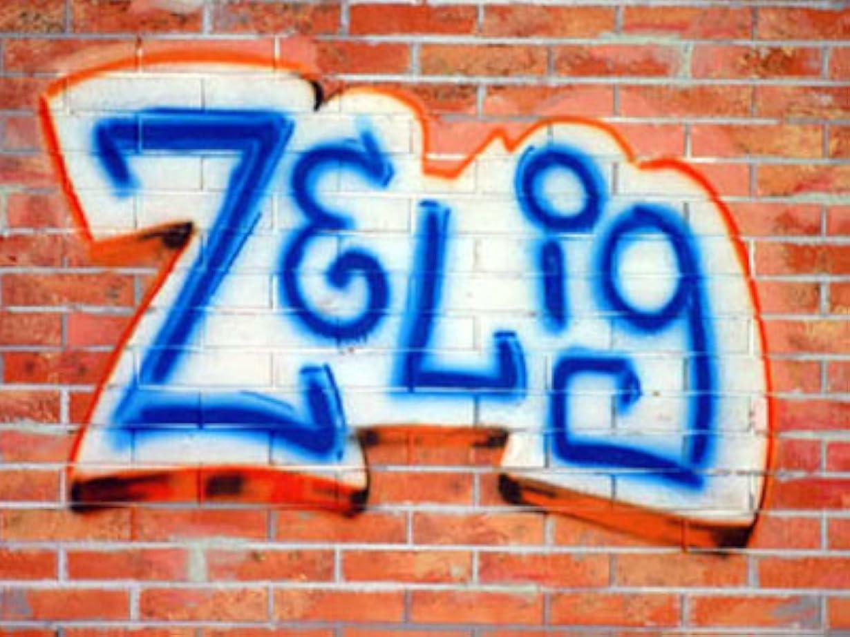Zelig streaming ita