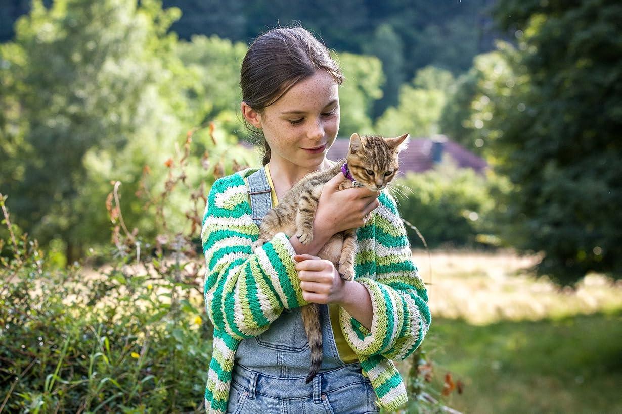 Vita da gatto streaming ita