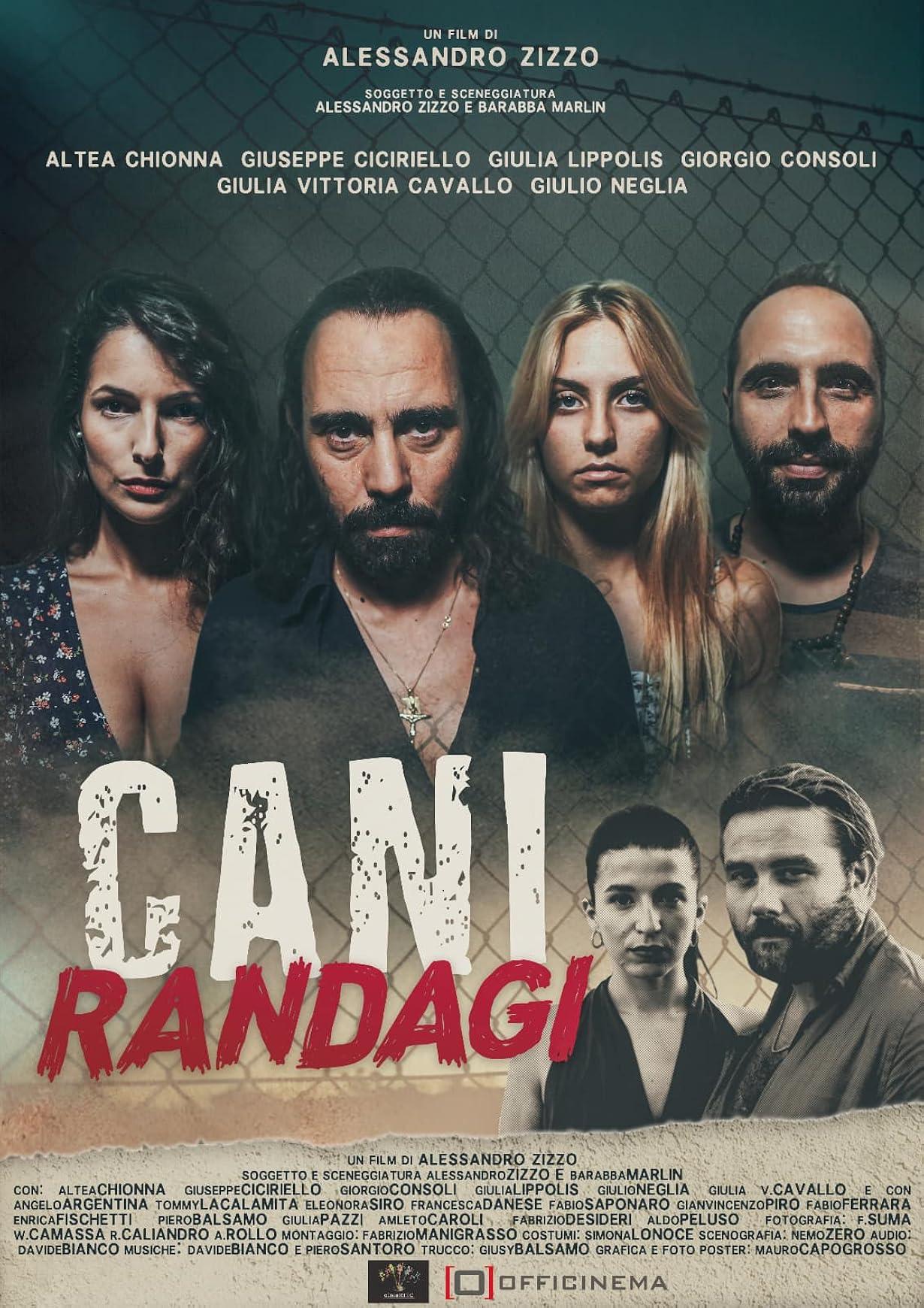 Cani randagi streaming ita