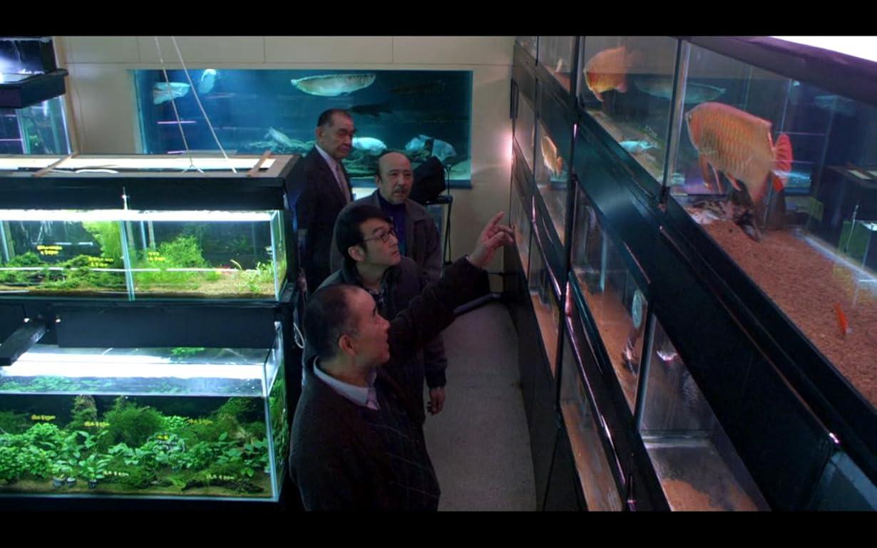Cold Fish streaming ita