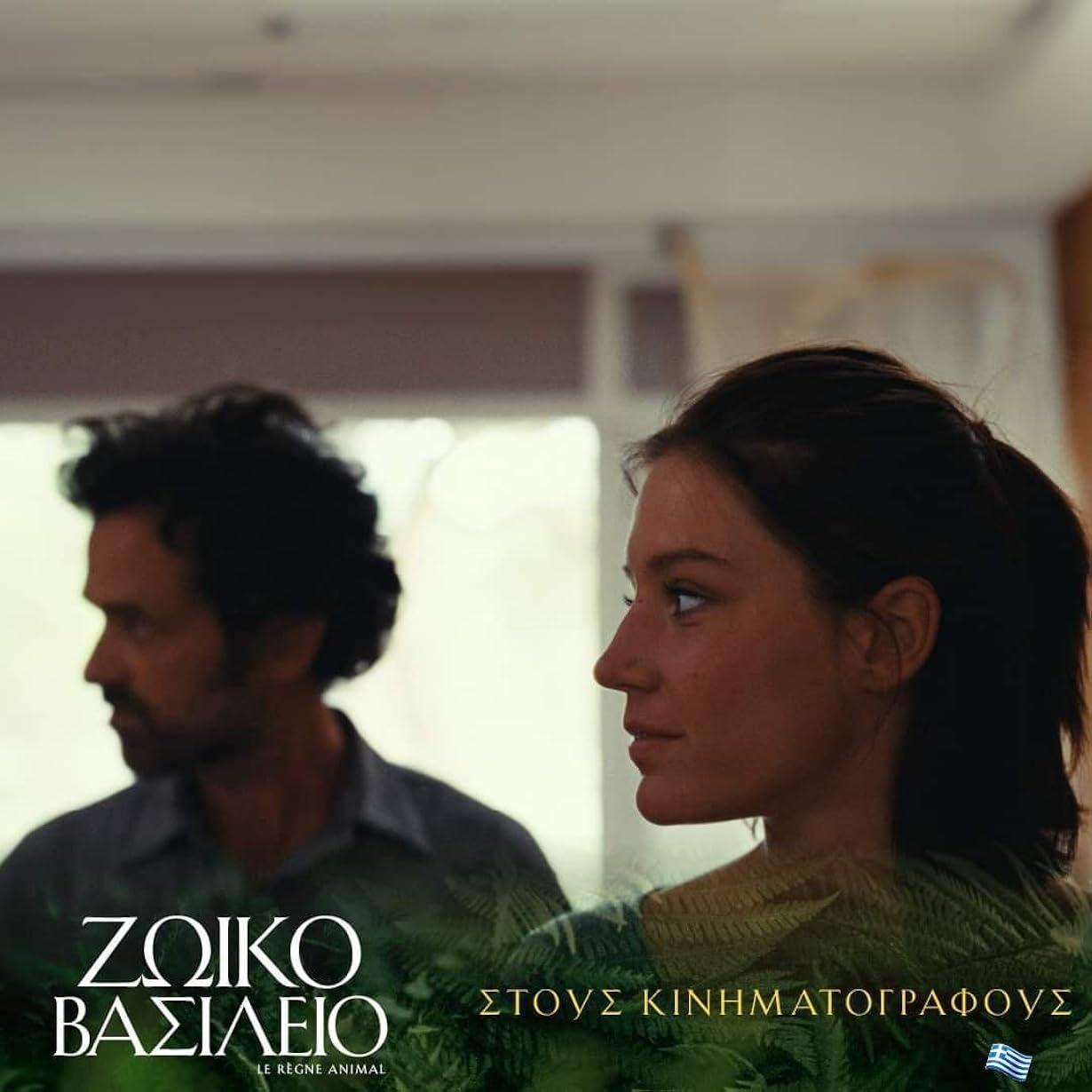 The Animal Kingdom streaming ita