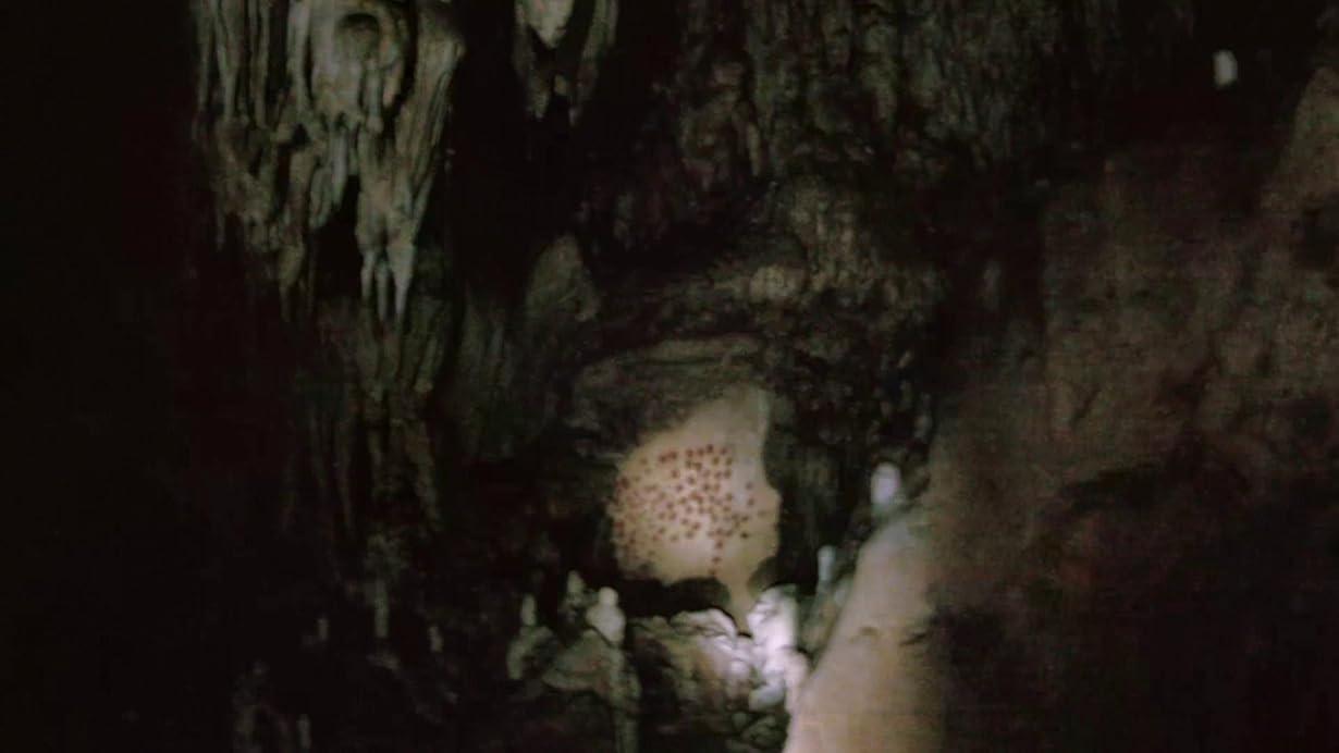 Cave of Forgotten Dreams streaming ita