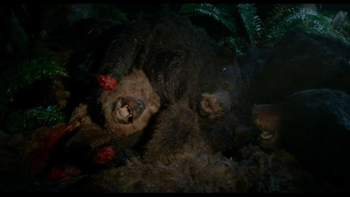 Labirinto dei Grizzly streaming ita