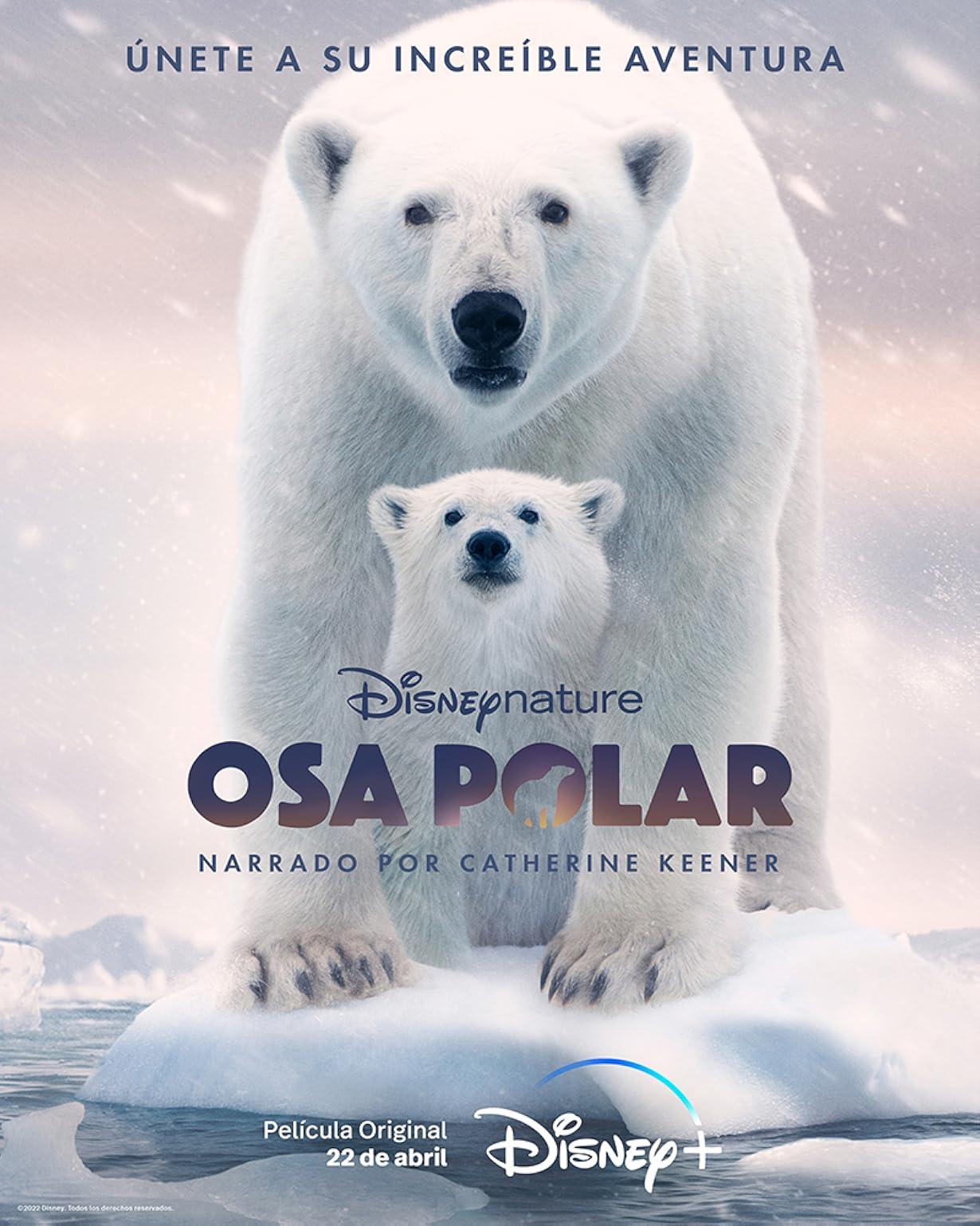 Polar Bear streaming ita