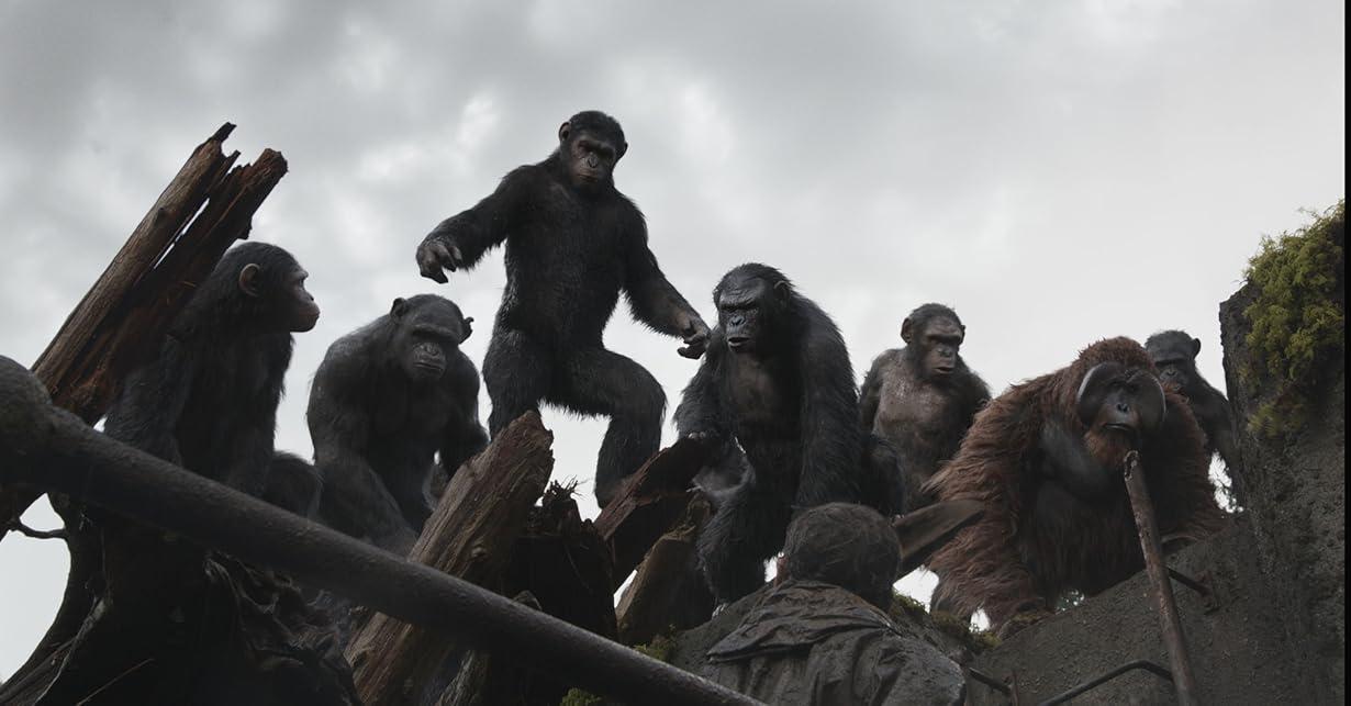 Apes Revolution - Il pianeta delle scimmie streaming ita