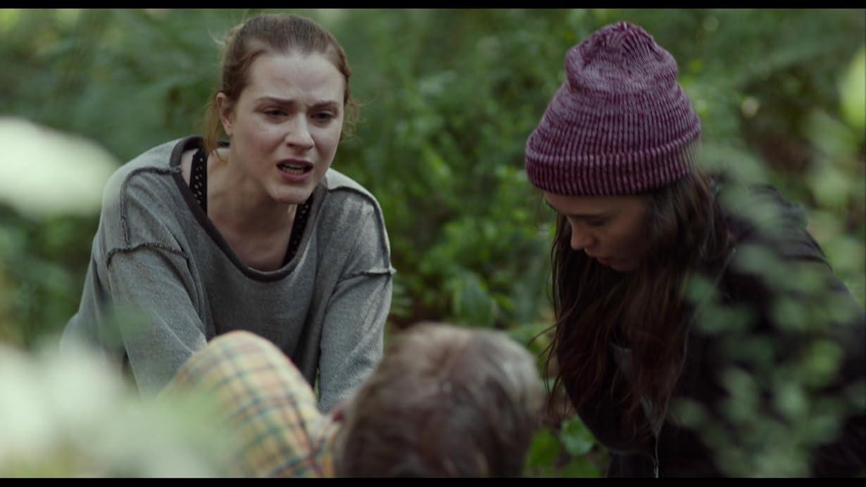 Into the Forest streaming ita