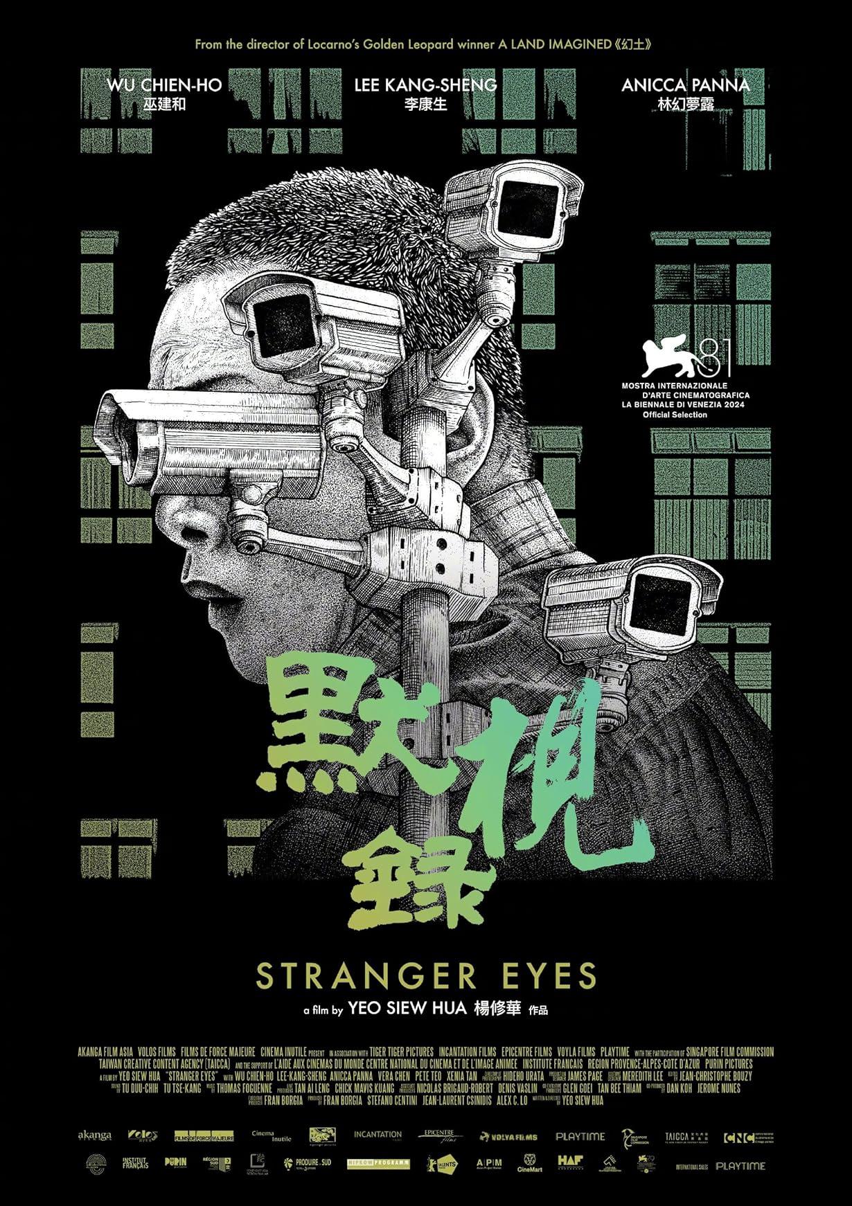 Stranger Eyes - Sguardi nascosti streaming ita