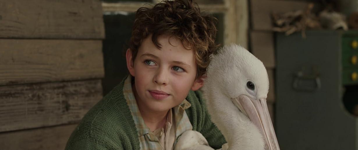 Storm Boy - Il ragazzo che sapeva volare streaming ita
