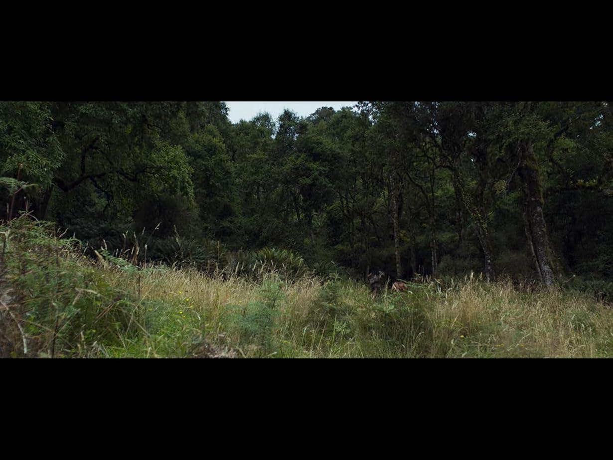 The Dead Lands - La vendetta del guerriero streaming ita