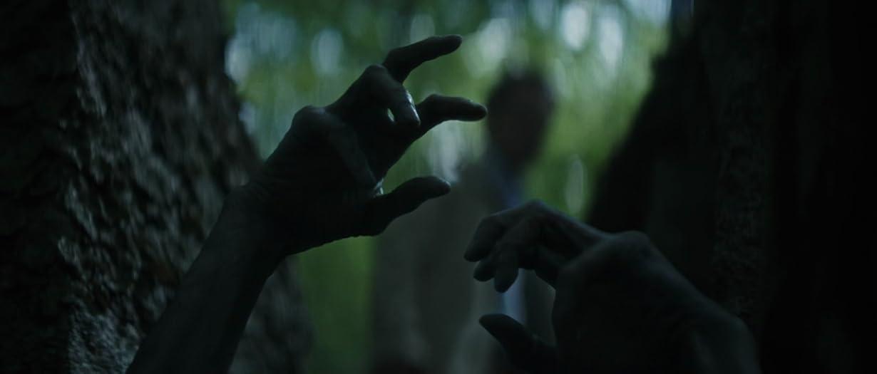 La foresta dei sogni streaming ita