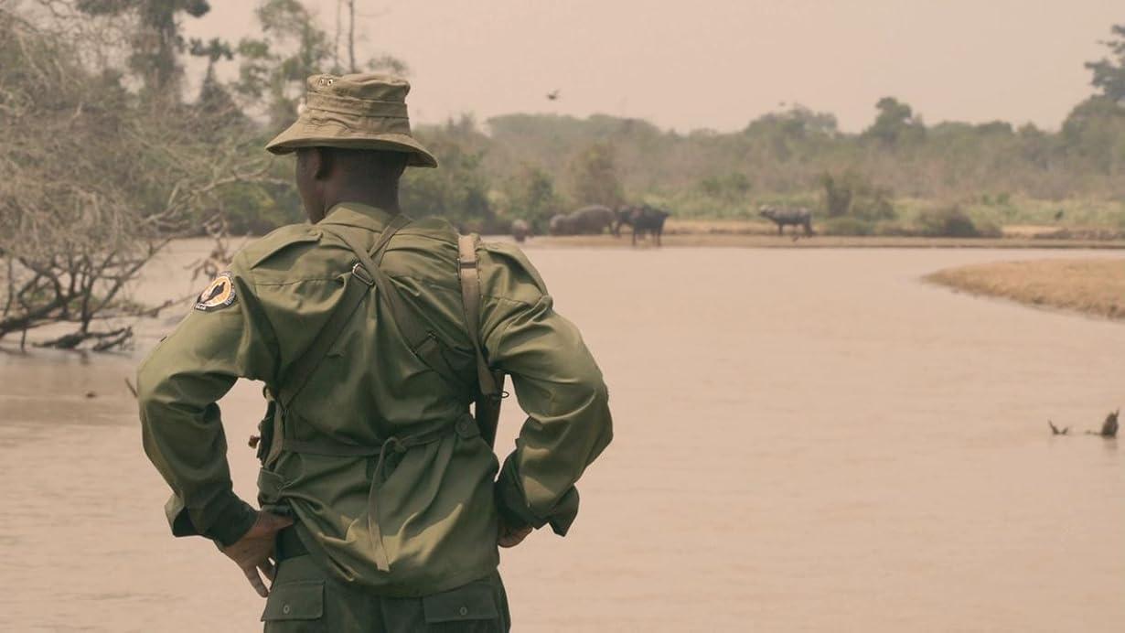 Virunga streaming ita