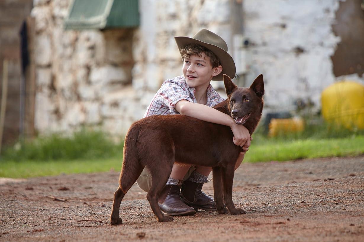 Red Dog: L'inizio streaming ita