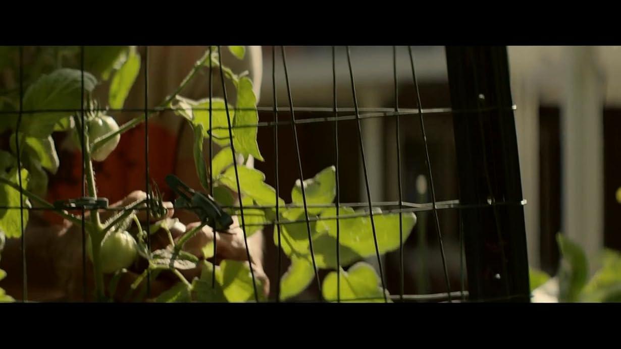 The Neighbor streaming ita