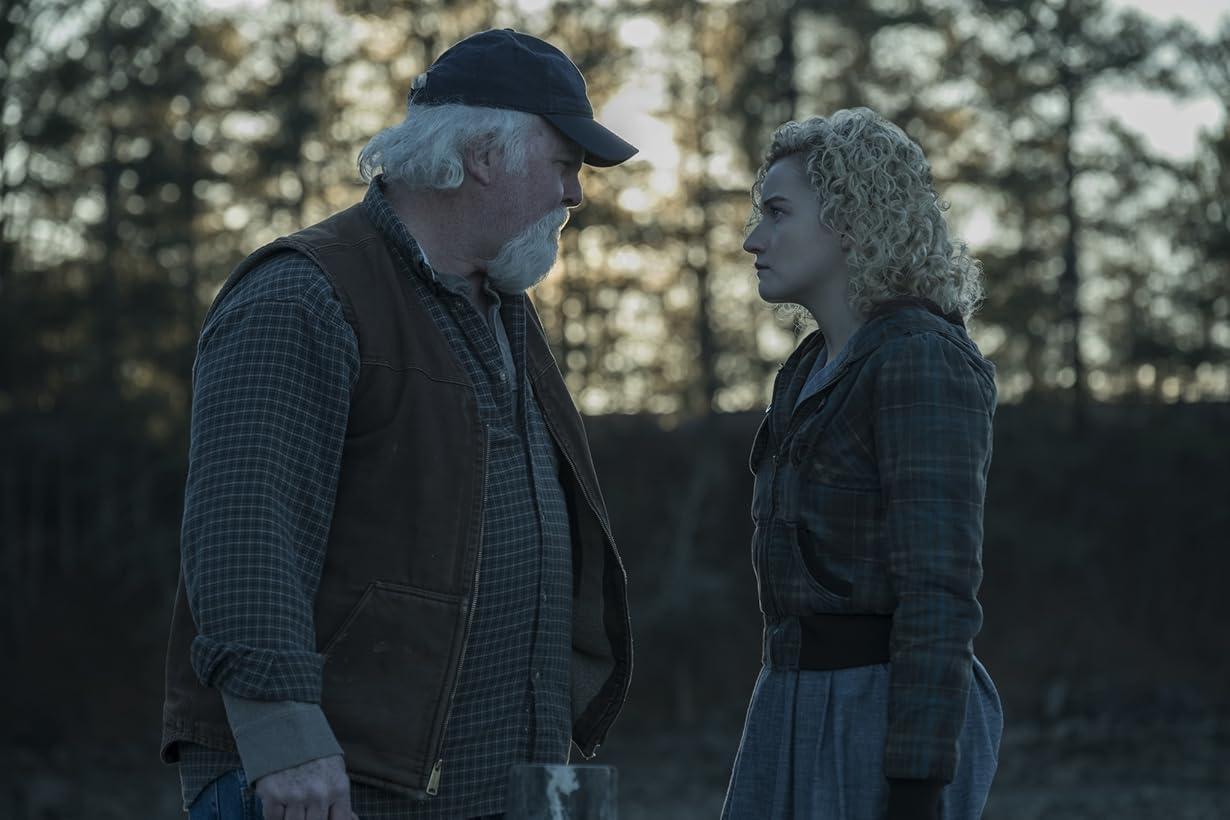 Ozark streaming ita