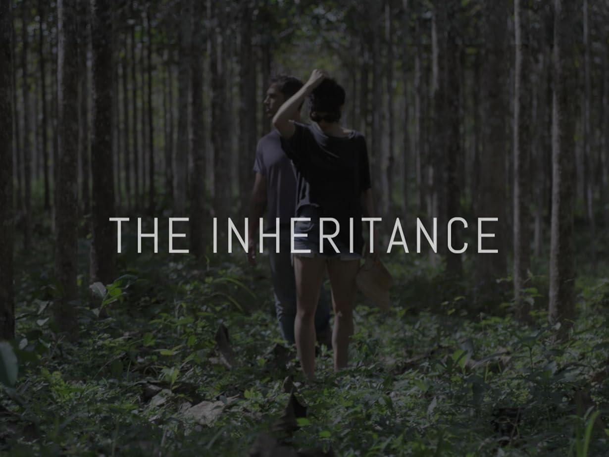 Inheritance streaming ita